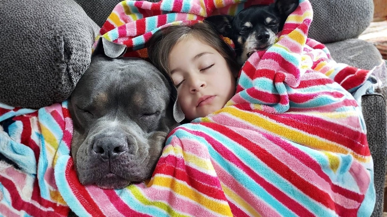 They Shared a Bed — But That Wasn’t the Real Story