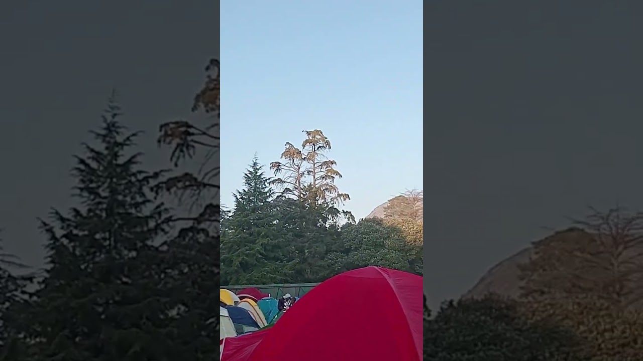 #psicodelic