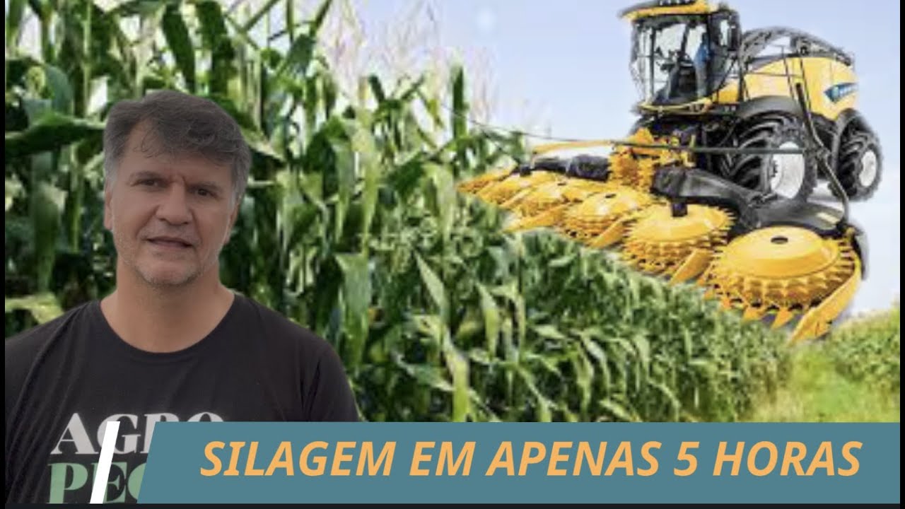 A SILAGEM MAIS RÁPIDA QUE JÁ FIZ.
