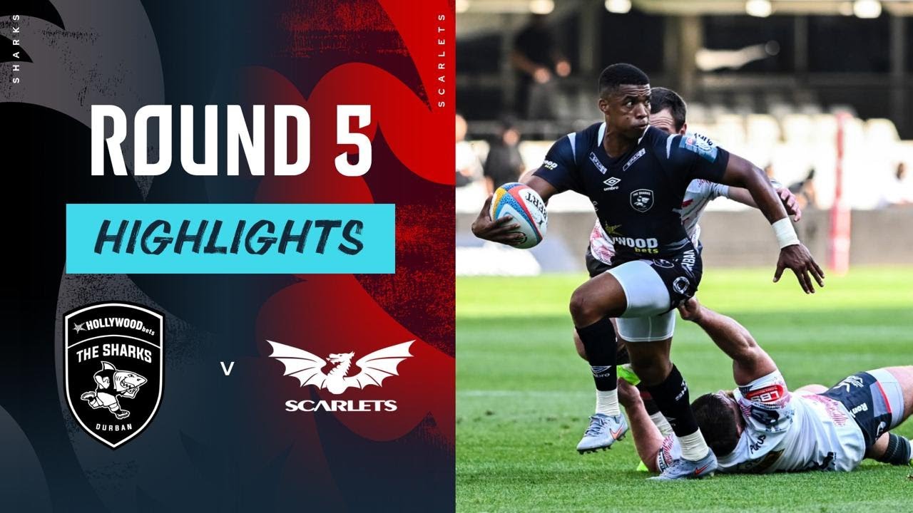 Hollywoodbets Sharks v Scarlets | Highlights | Round 5 | URC 2025/26