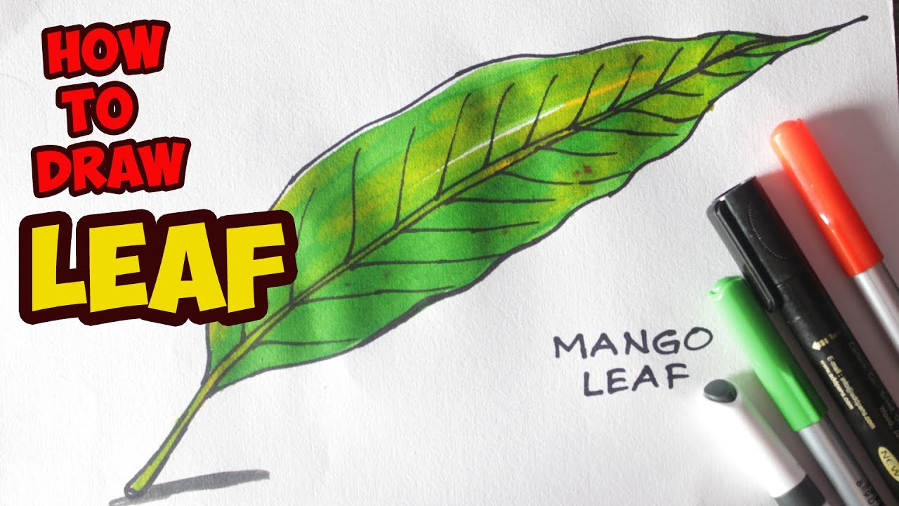 How to Draw Mango Leaf Step by Step | Easy drawing | Simple leaf drawing | sketch | Art By Battu
