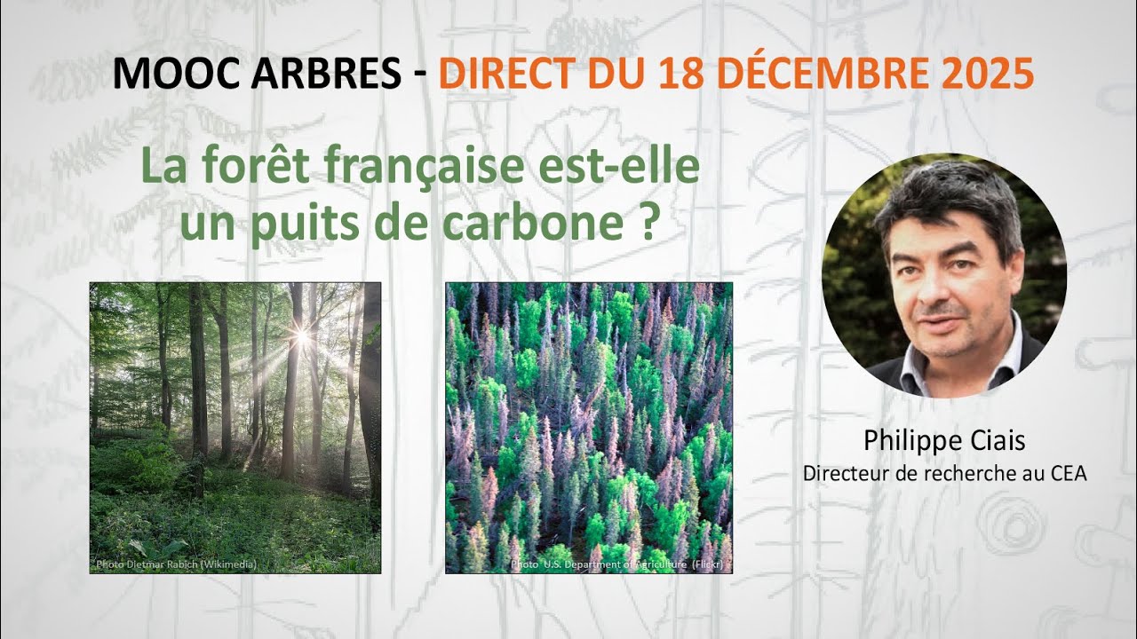 La forêt française est-elle un puits de carbone ? / Philippe Ciais