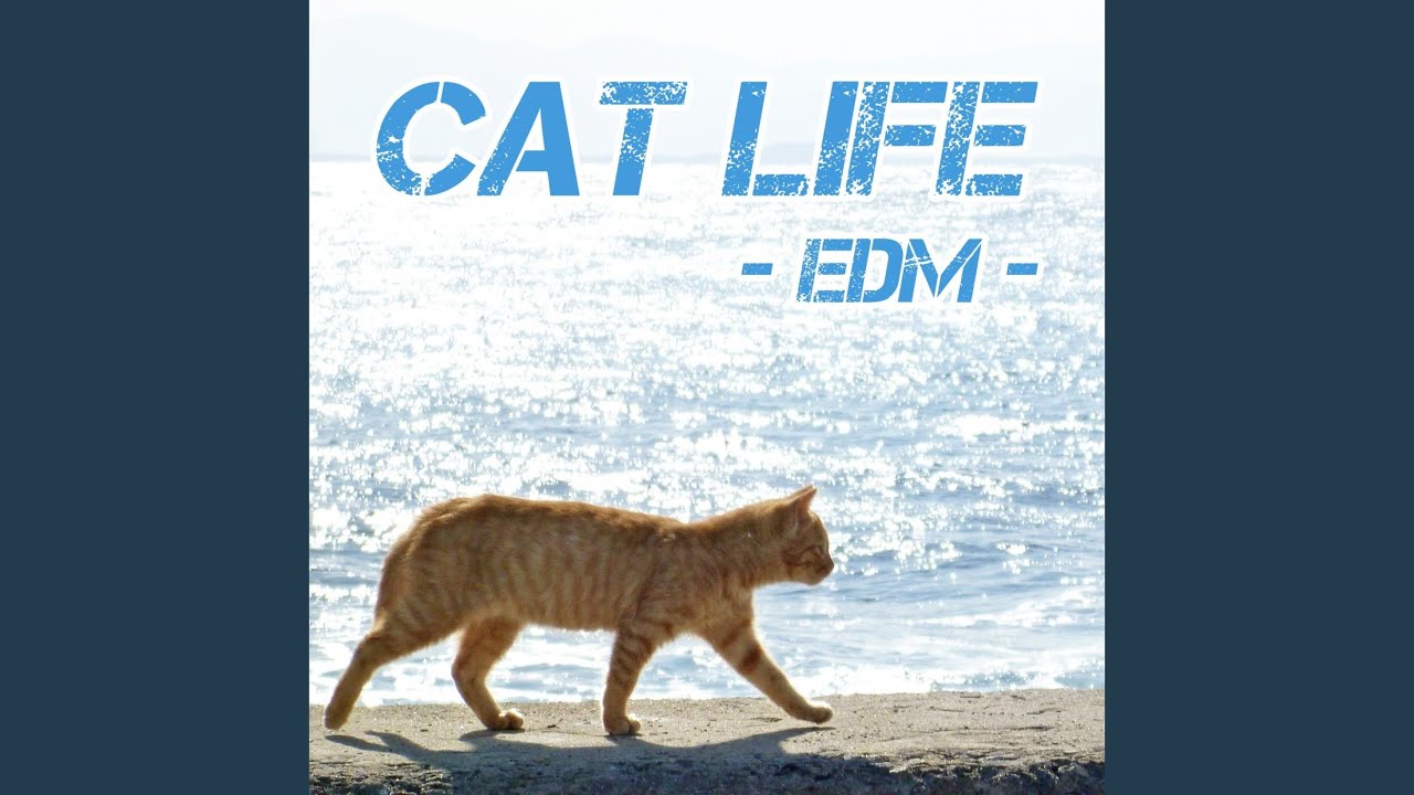 Cat life (EDM Ver.)