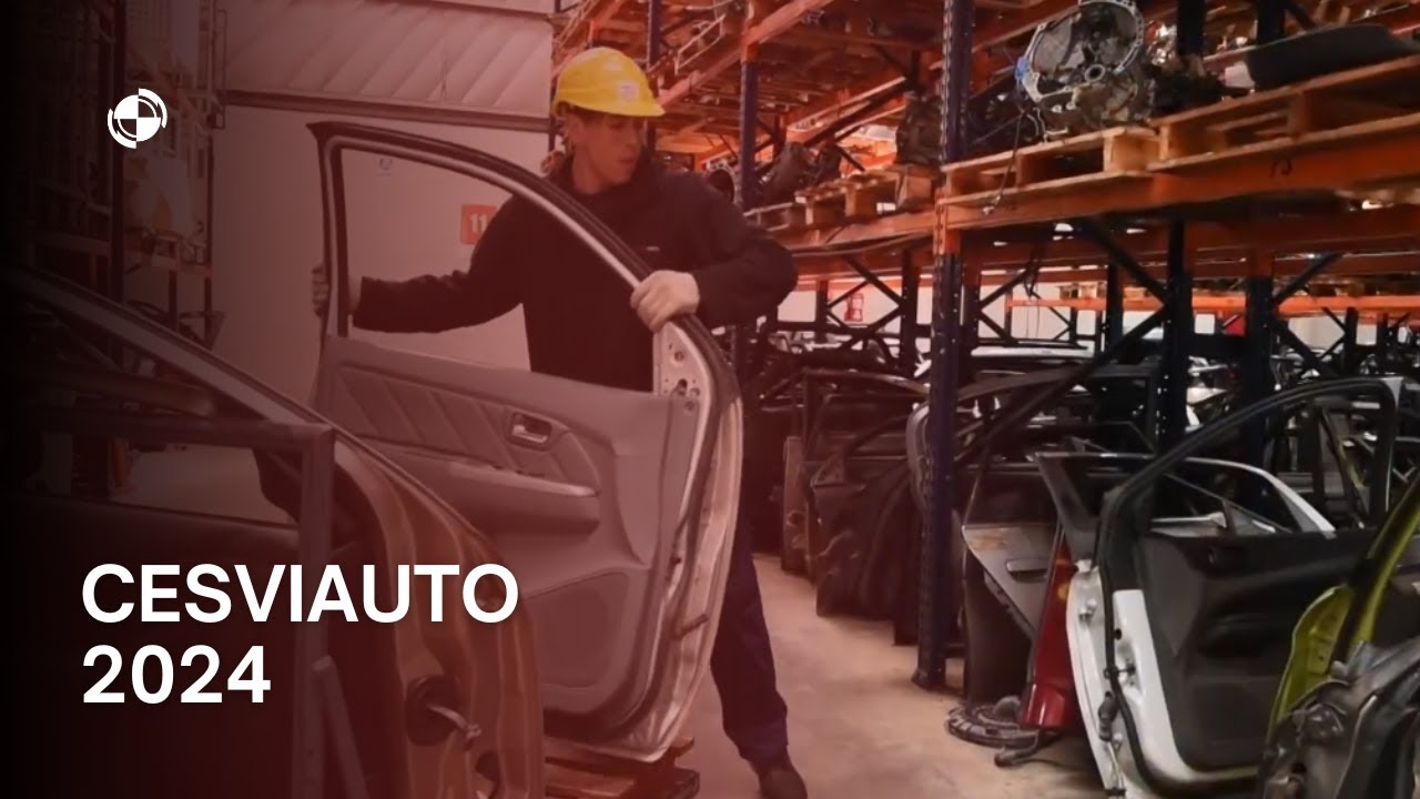 Qu&eacute; comercializa CESVIAUTO