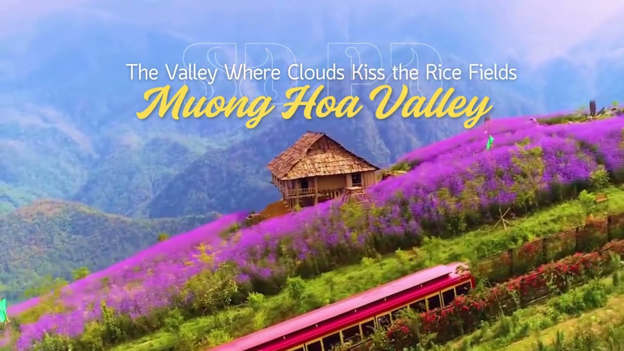 Muong Hoa Valley | Sapa&rsquo;s Hidden Gem of Rice Terraces & Ethnic Culture 🇻🇳