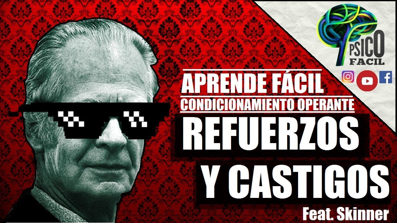 Refuerzos y Castigos, Positivos y Negativos. Memorizar f&aacute;cil Feat. Skinner | 2021