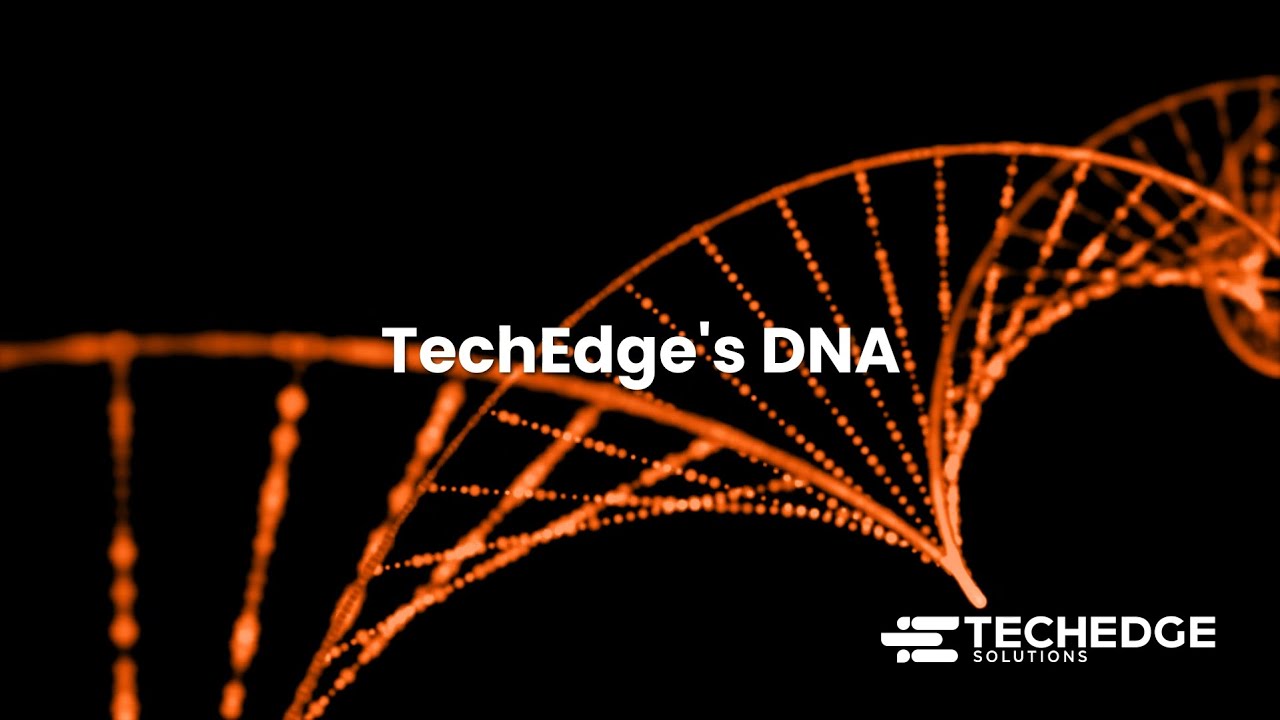 TechEdge Solution's DNA
