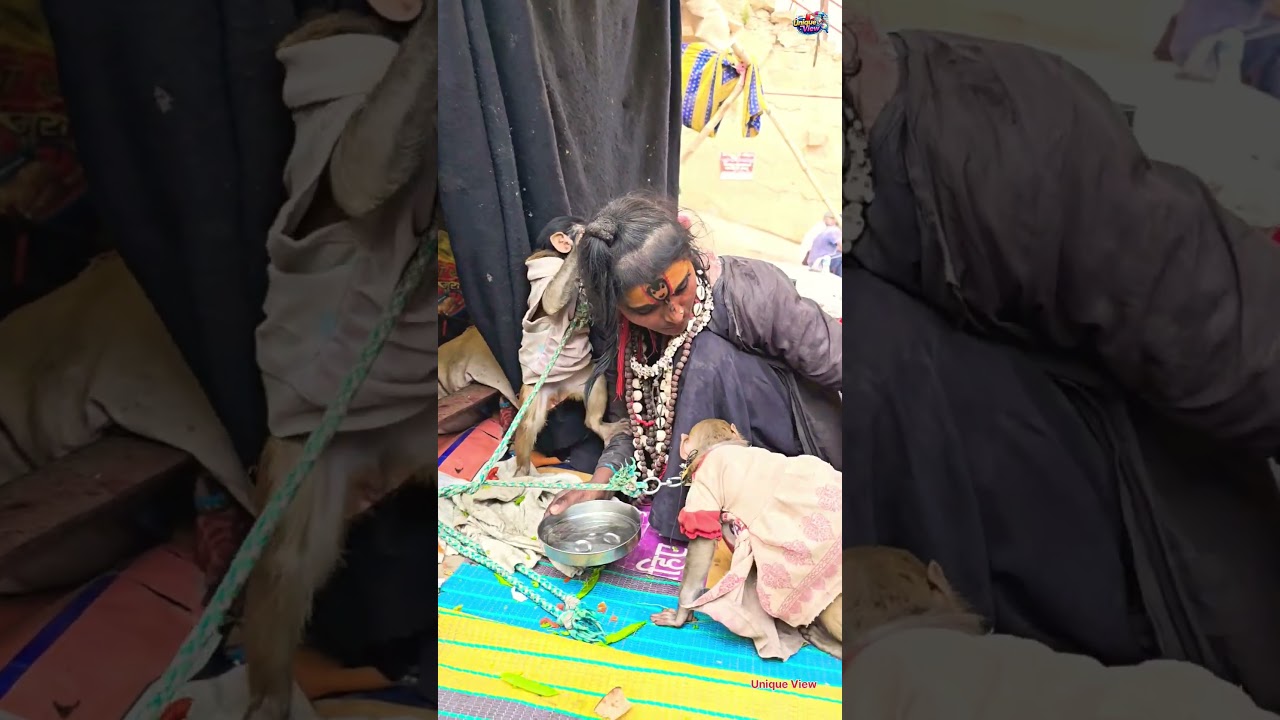 वायरल अघोरी माता पहुंची बनारस #maghmela2026 #mahakumnh2025 #mela202 #viral #video #uniqueviewshorts