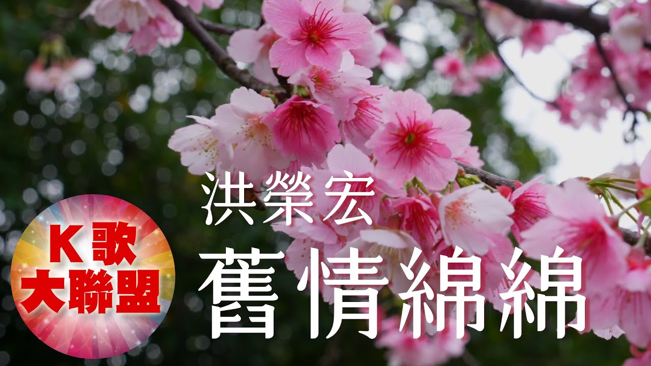 洪榮宏-舊情綿綿【KTV導唱字幕】