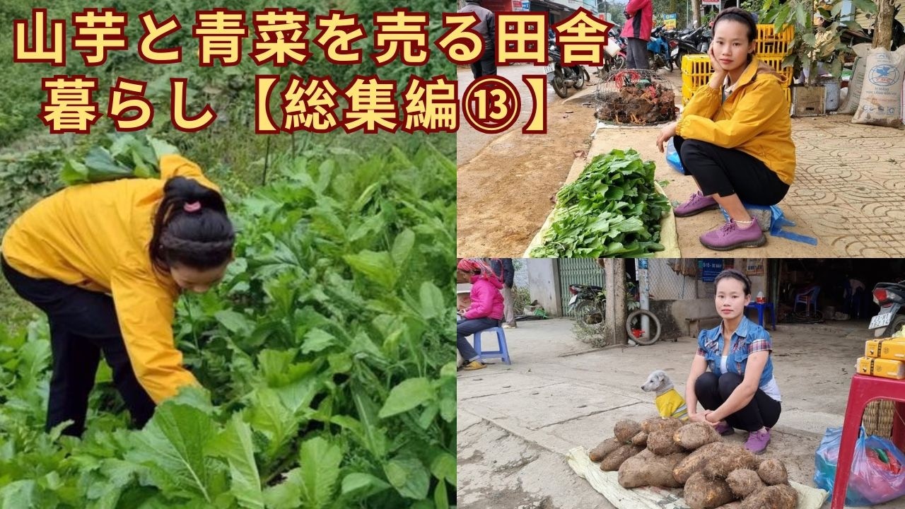 素朴な恵みが並ぶ朝｜山芋と青菜を売る田舎暮らし【総集編⑬】