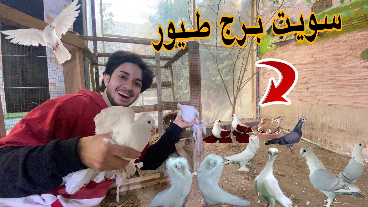 سويت برج حمام💪🔥لكيت افعة سامه😱💔
