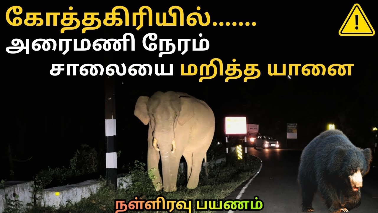 Kotagiri Elephant Blocks The Road | Night Ride Into Dense Forest Gone Wrong