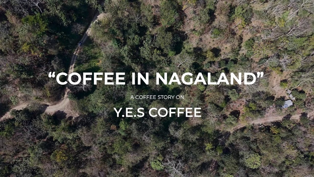 Кофе в Нагаланде: история о кофе на Yes Coffee