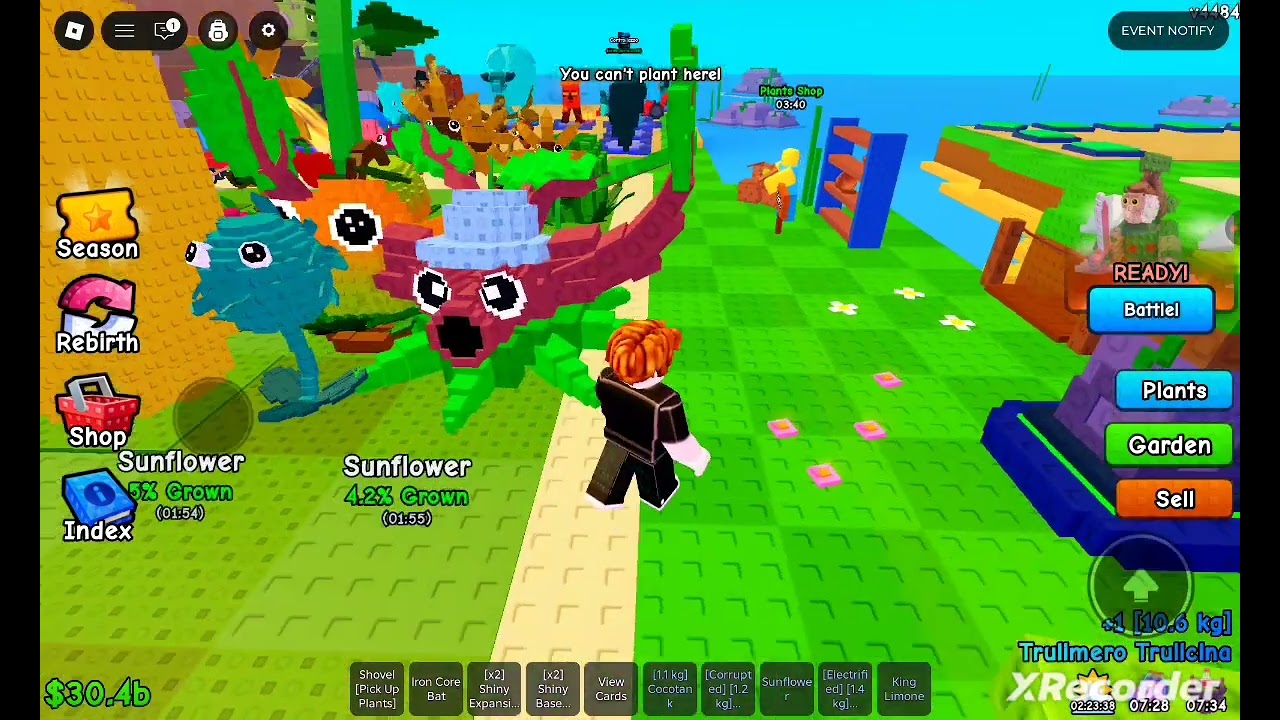 Playing plants vs barinrots 