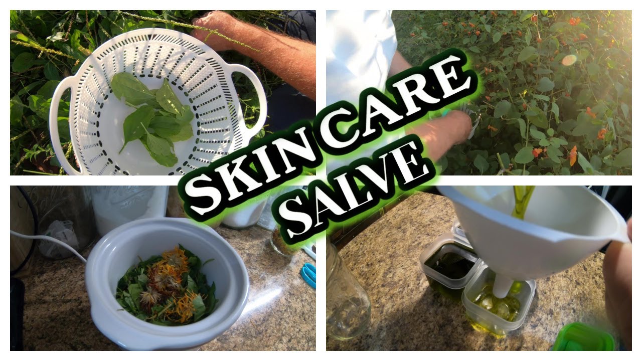 JEWELWEED,PLANTAIN AND CALENDULA SALVE |  SKIN CARE