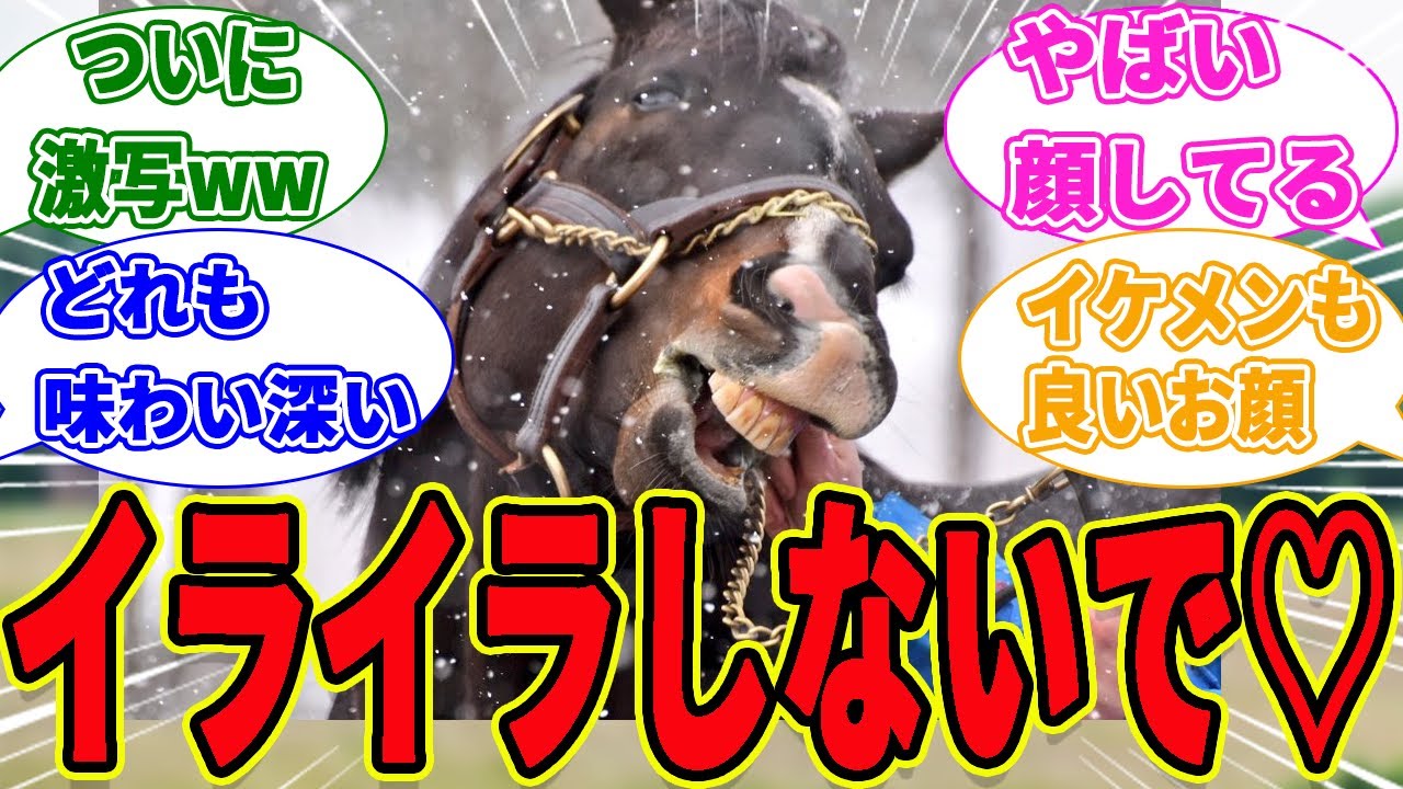 【癒し】疲れ切っているあなたへ…笑ってね♡に対するみんなの反応集【競馬の反応集】