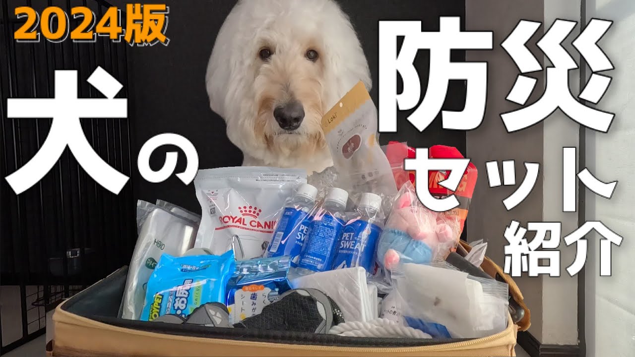 ワンコ命！我が家の【愛犬防災グッズ】まとめてみました