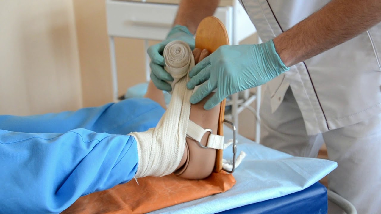 шина дитерихса каз