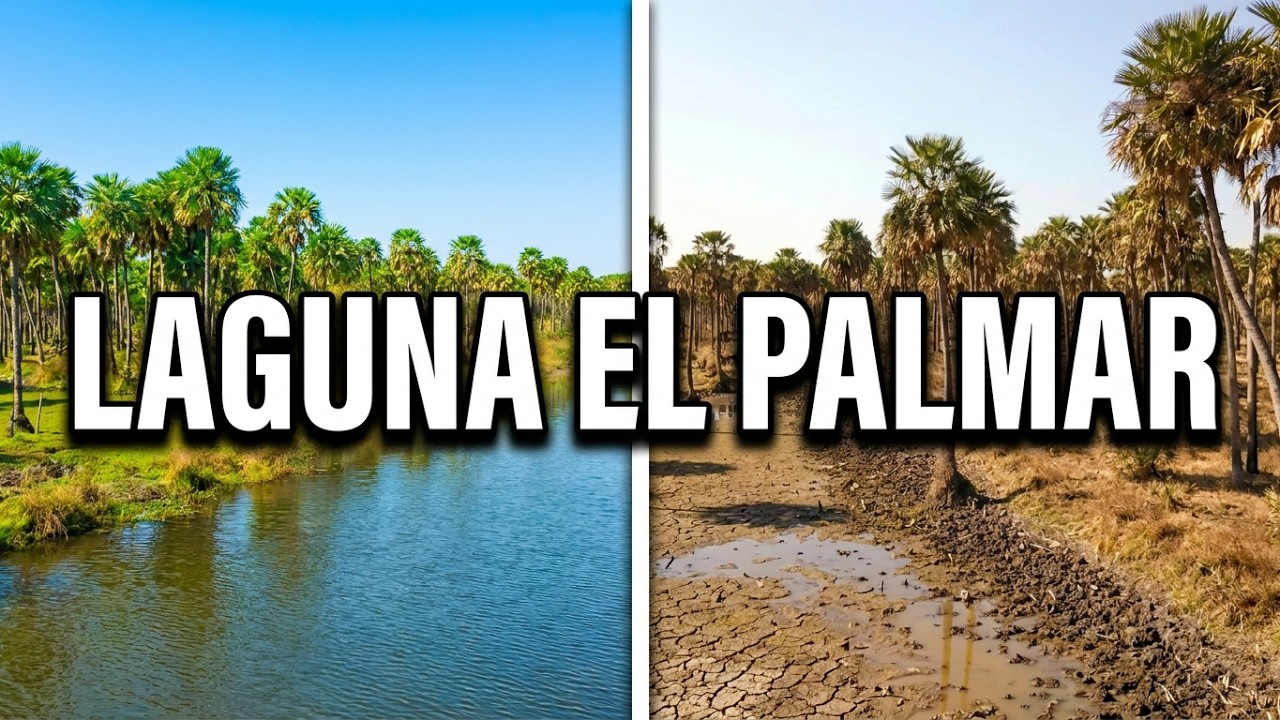 Laguna ^El Palmar^ Paraiso natural de Santa Fe