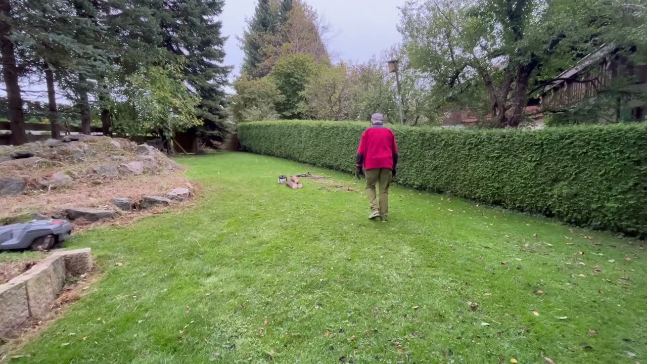 Finn, Gartenpflege und verwilderten Teich freigelegt