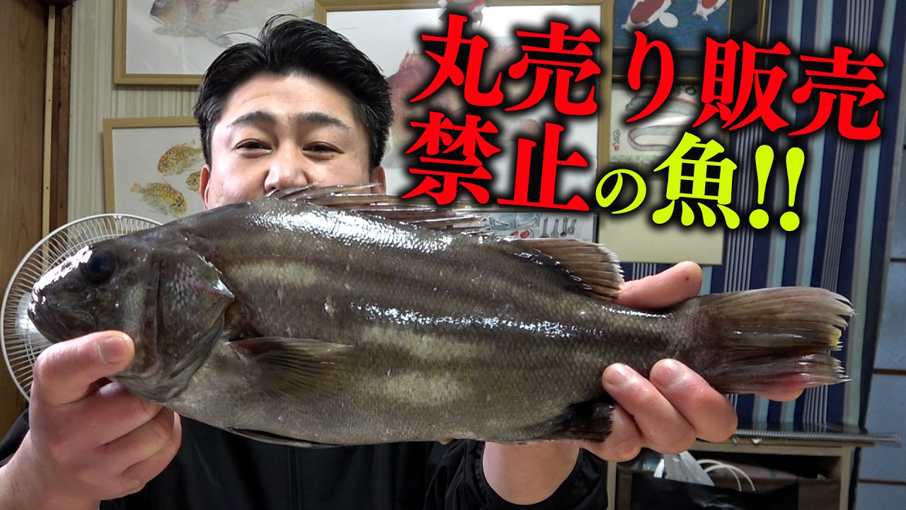 一般流通していない超美味しい○○○○を堪能していく！！