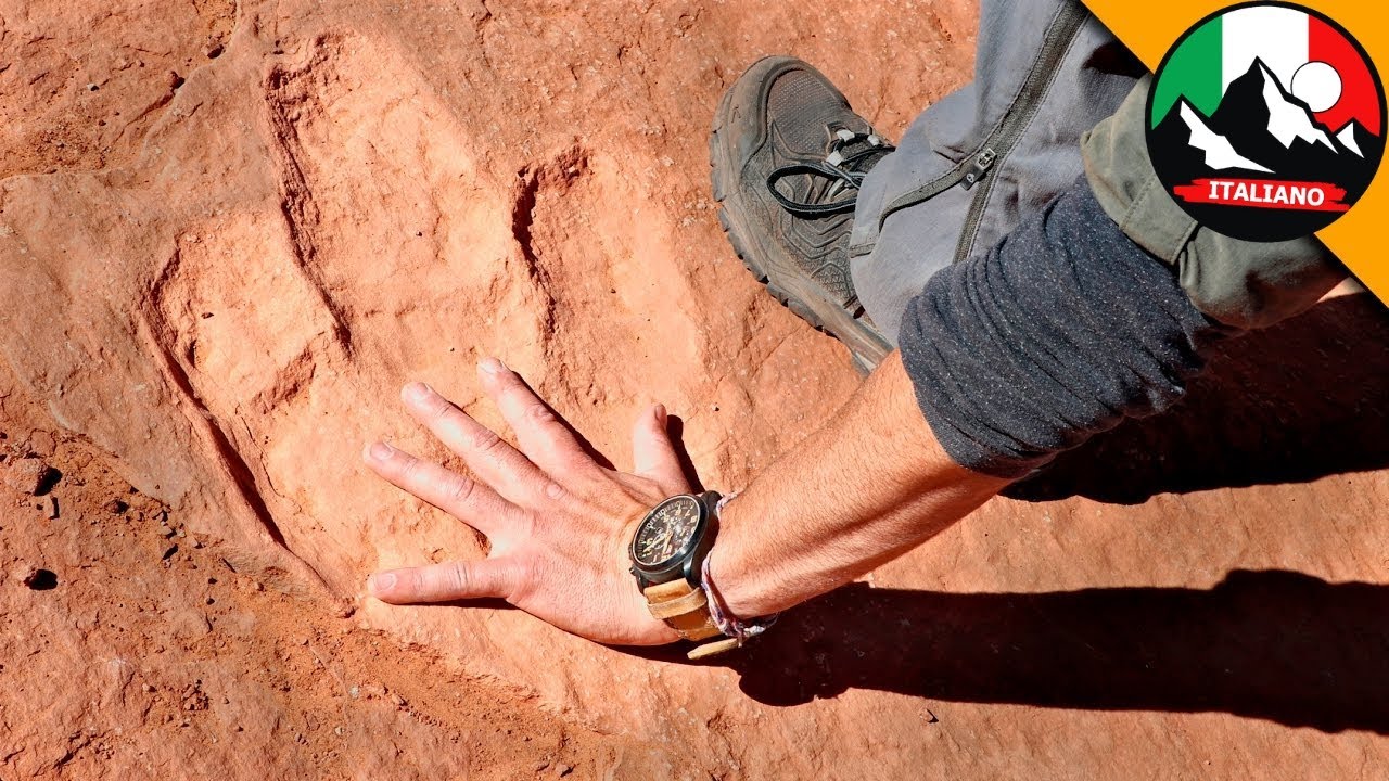 I DINOSAURI ESISTONO! Caccia alle Orme di Dinosauri nel Deserto | Brave Wilderness Italiano
