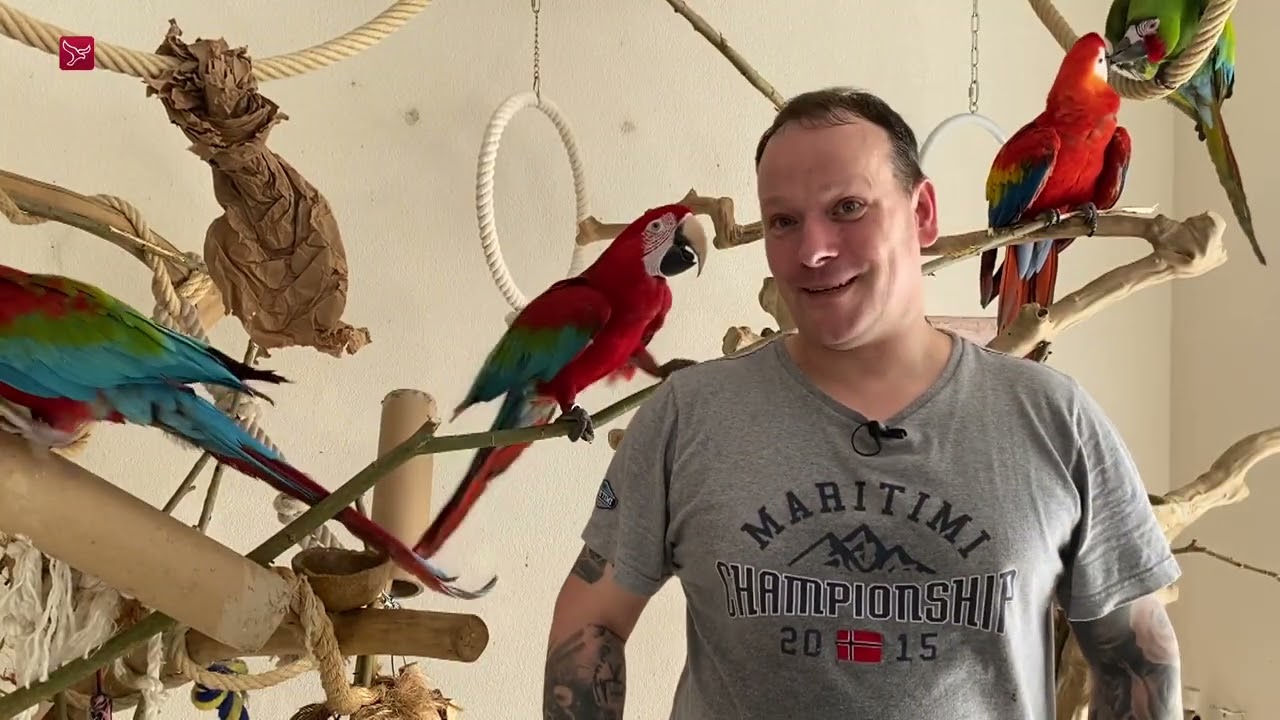 Almeerder laat zijn vogels uit zoals een ander zijn hond uitlaat