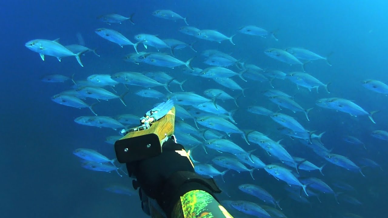 spearfishing adventures #46: Winter trip in Tinos Isl.