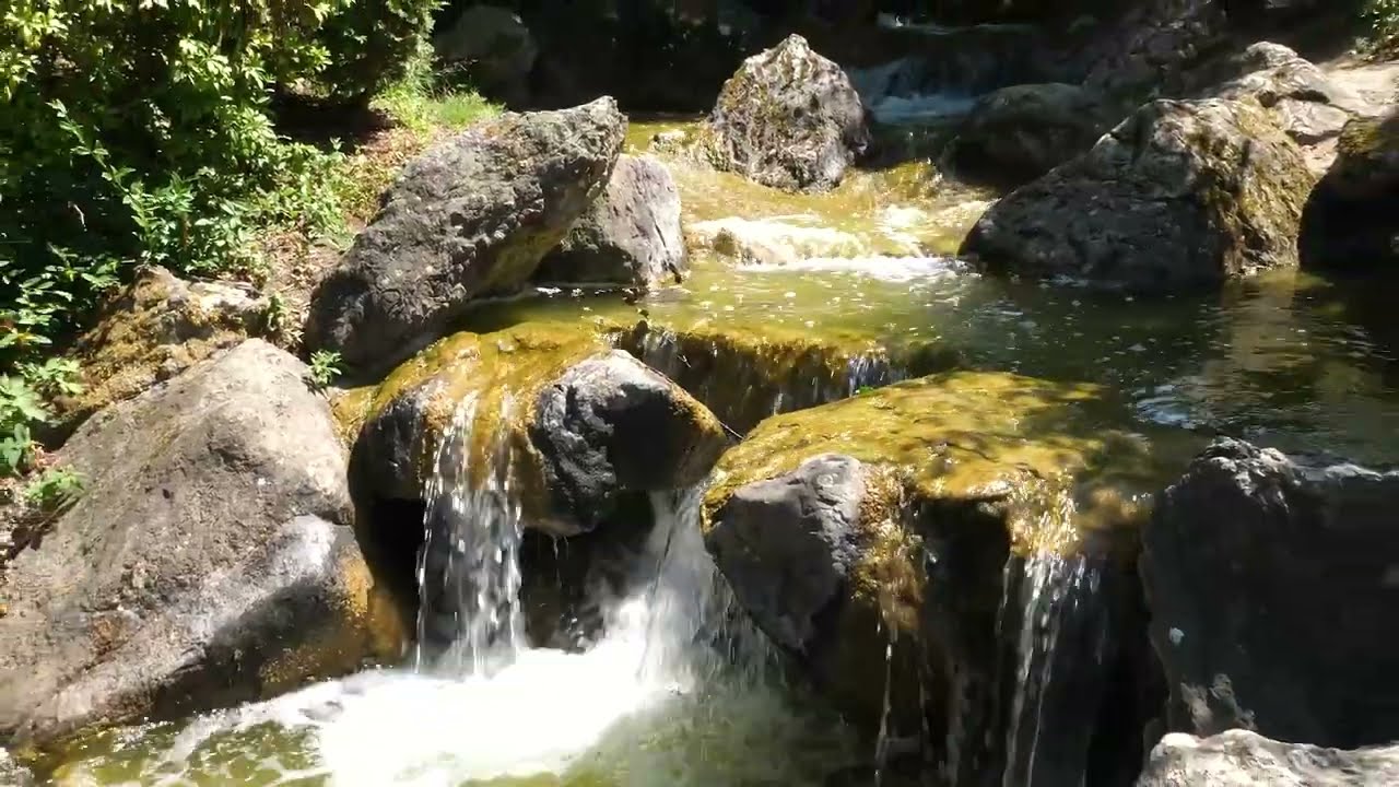 Bonntanic and Japanese Garden