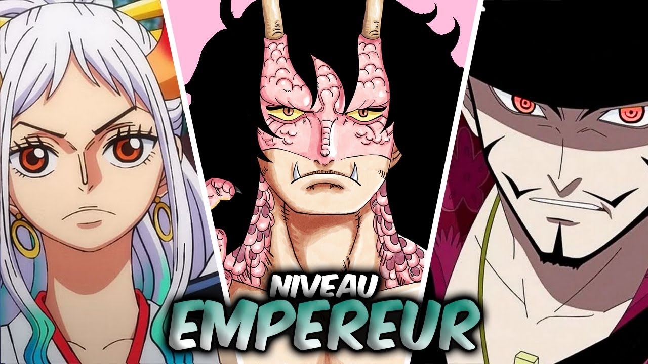 Qui a le POTENTIEL de devenir EMPEREUR dans ONE PIECE ?