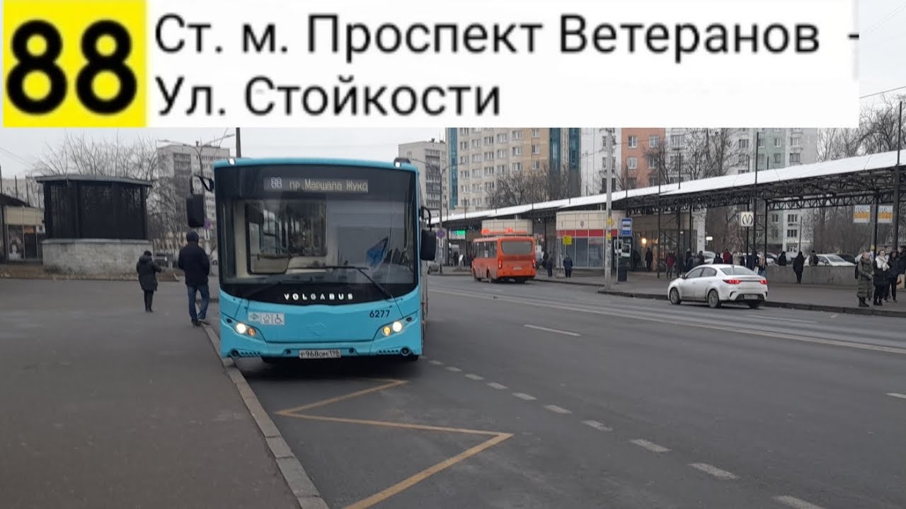 Автобус 88. Ст. м. Проспект Ветеранов - Ул. Стойкости
