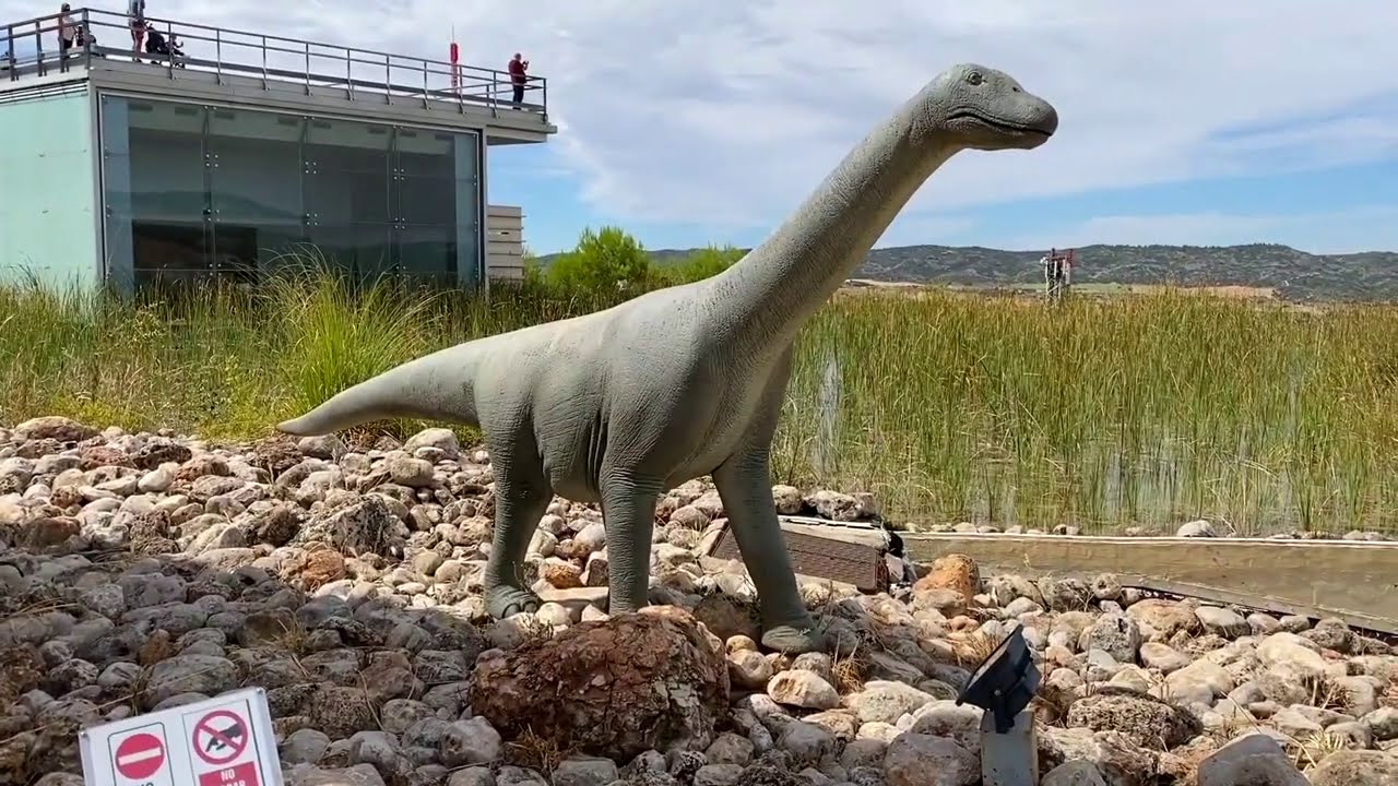 DINOSAURIOS GIGANTES y BABYS en el Museo!! 🦕 Otra aventura de Dani y Evan!