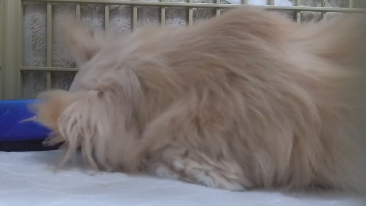 2026/2/9 今日も楽しんでるね♥✨️♥今週も頑張ろう！