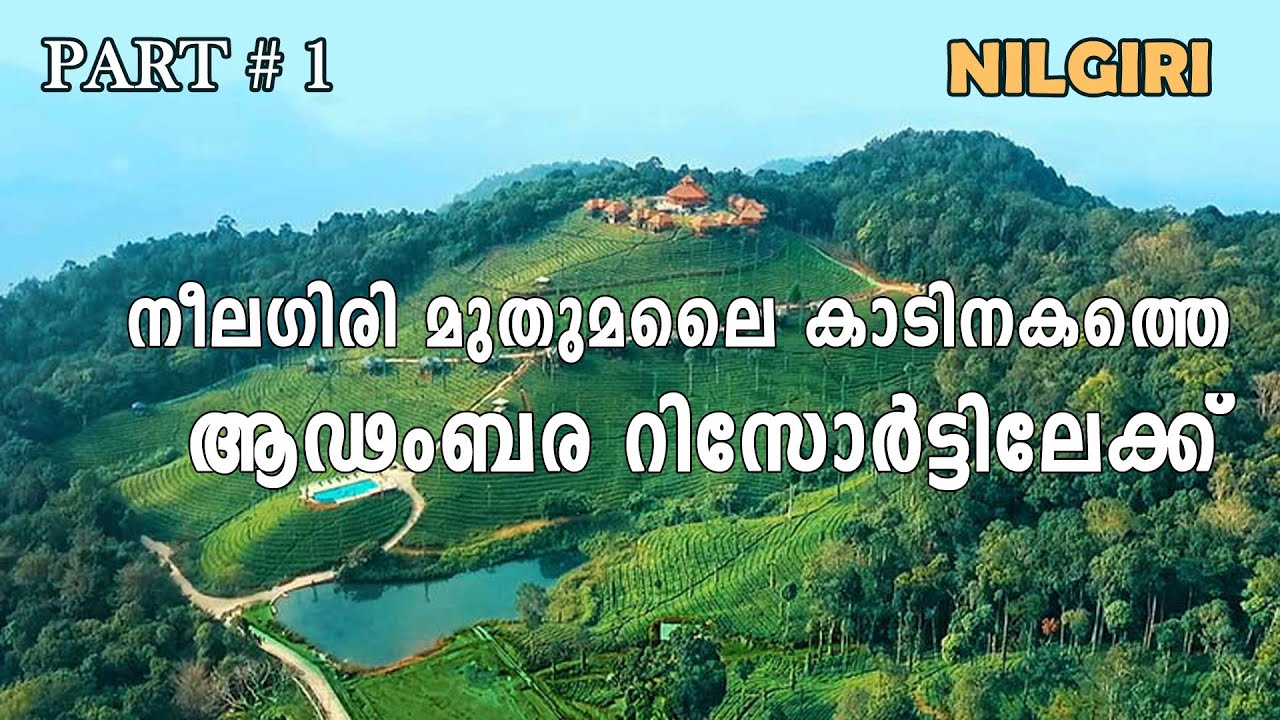 മുതുമല കാടിനുള്ളിലെ ആഢംബര റിസോര്‍ട്ടിലേക്ക് | Wild Planet Jungle Resort Devala Nilgiri | Part 1