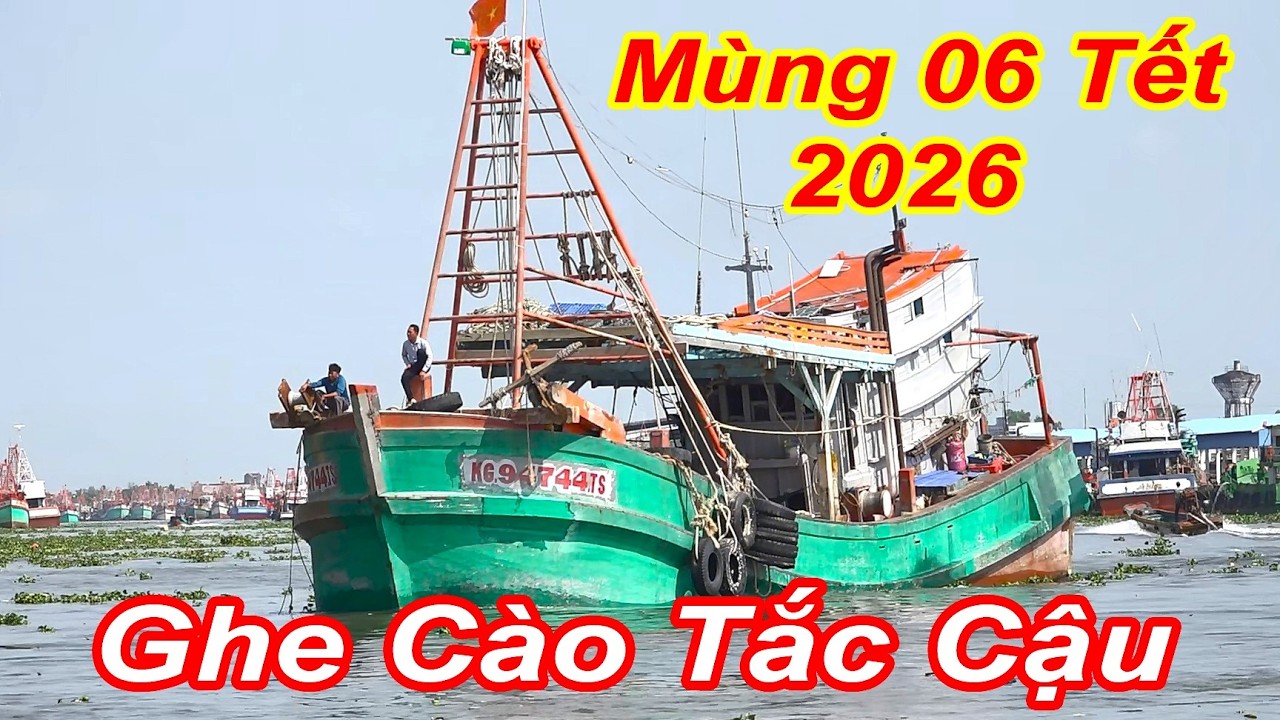 Hàng Trăm Tàu Đánh Bắt Hải Sản TỈnh An Giang Ra Khơi Mùng 6 Tết Năm 2026