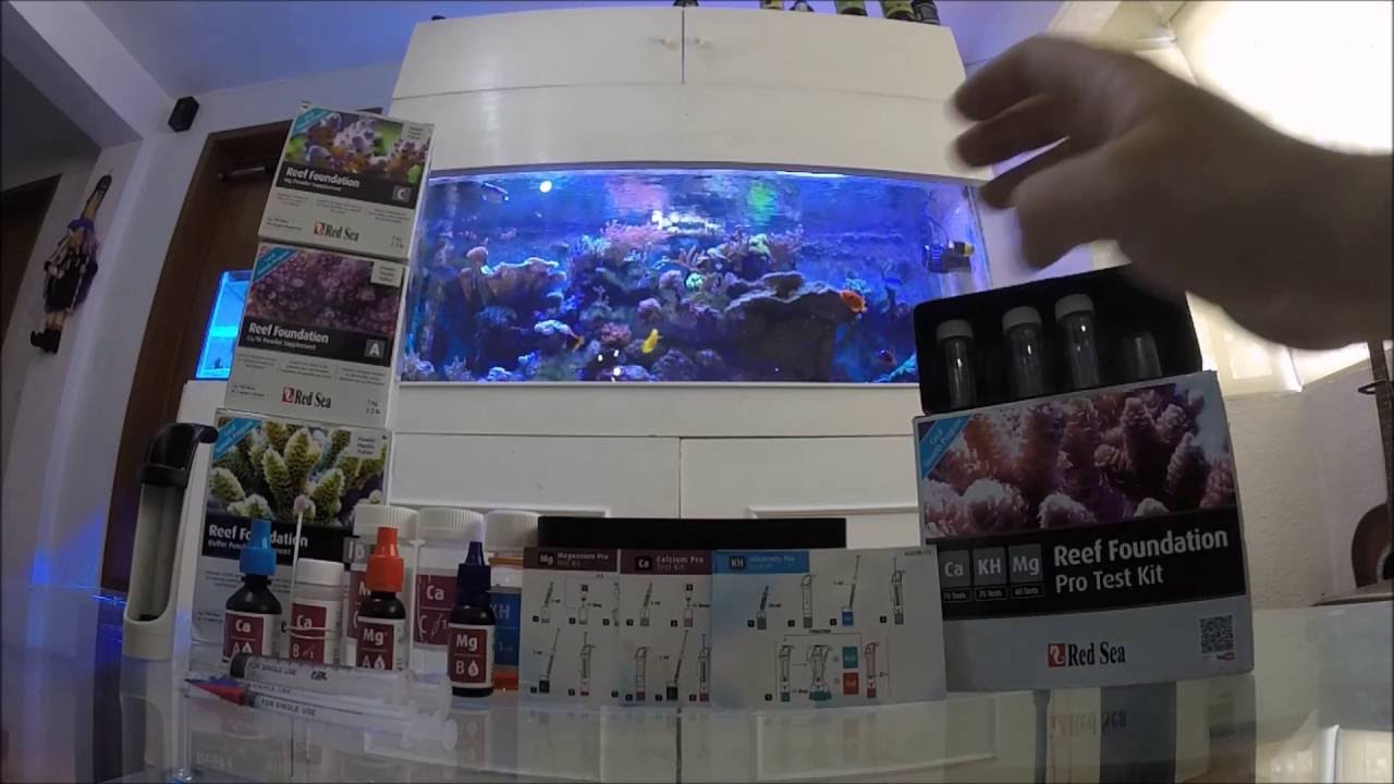 Calcio Alcalinidad y Magnesio | ¿Que tan importantes son?||||||👍