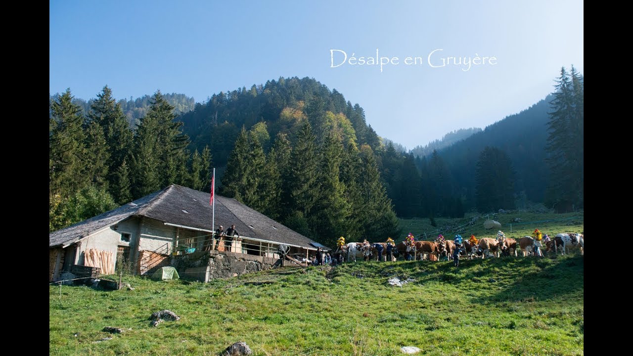 Désalpe - famille Jacques Ruffieux