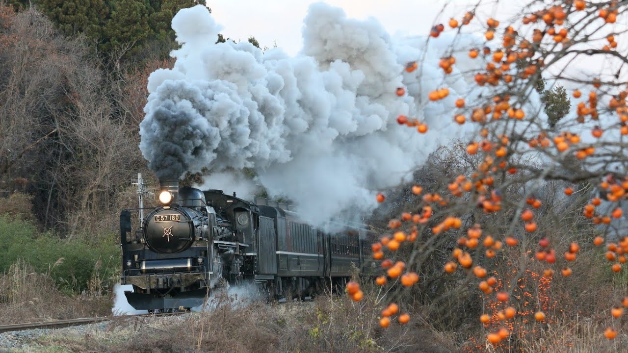 【2021年SL総集編】蒸気機関車　撮影集