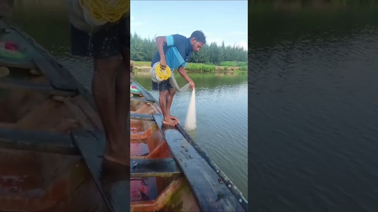 Amazing Hand Net fishing #vairalshort #video