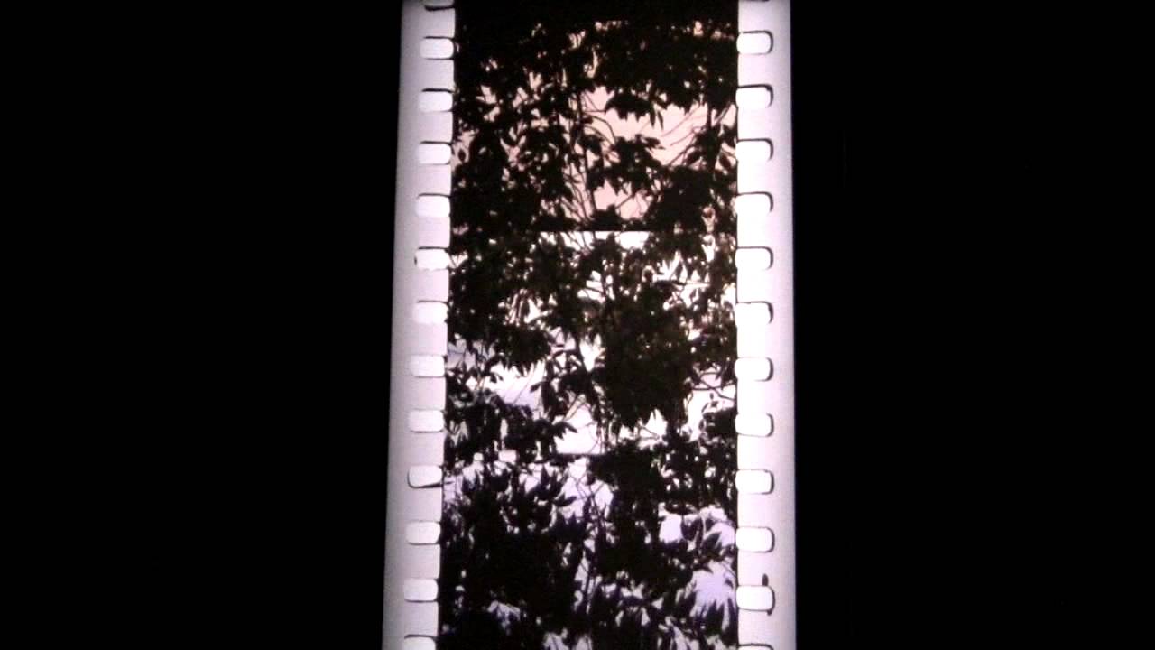 Tacita Dean   Film