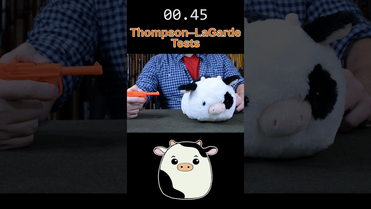 Thompson&ndash;LaGarde Tests