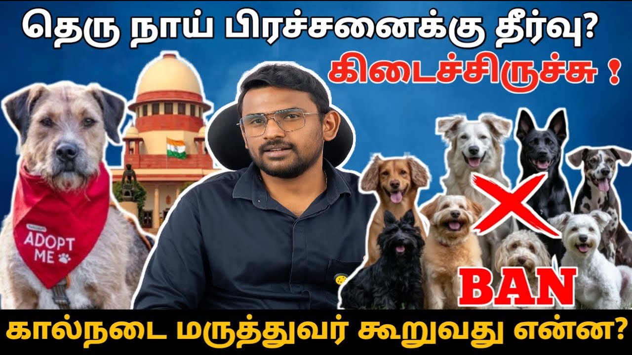 Care for Street Dogs |தெரு நாய்களை பாதுகாத்து, பிரச்சனையை குறைப்பது எப்படி?