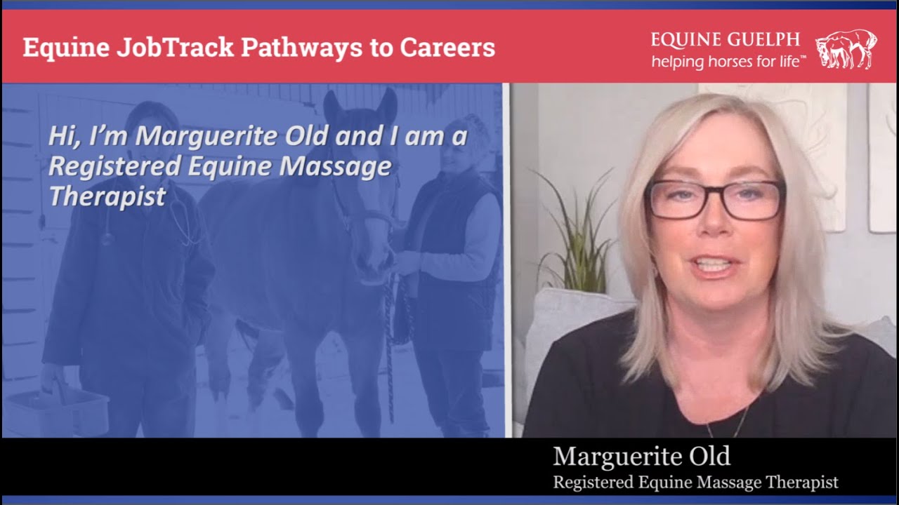 CAREERS SHOWCASE - Registered Equine Massage Therapist, Equine Edge Massage Therapy - Marguerite Old