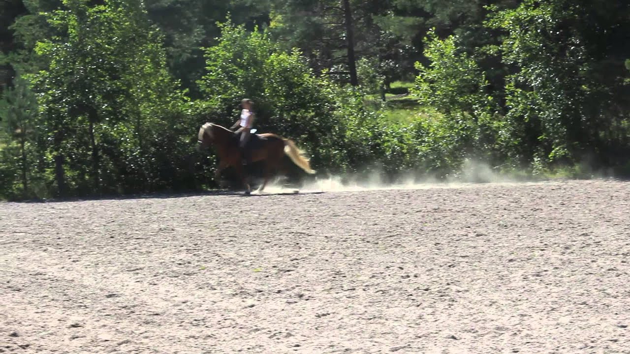 Into 16.8.2015 M&otilde;isak&uuml;la Tallid clinik at Siuntio