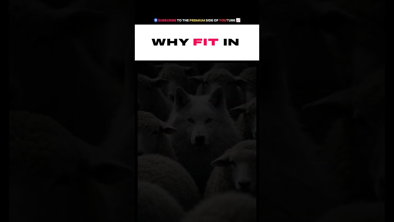 DONT FIT IN    |   Day  - 15/365   |   