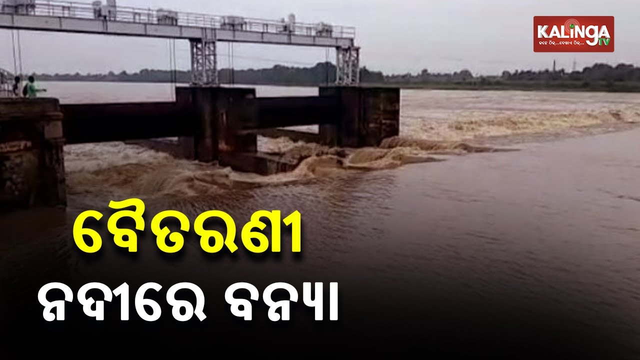 Incessant Rain Leave Many Areas Submerged In Bhadrak District || KalingaTV
