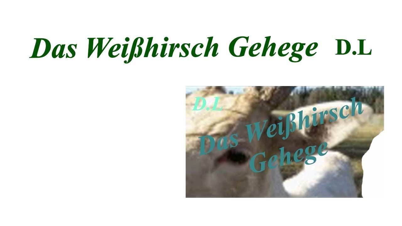 1 mal zum Wei&szlig;hirsch Gehege.Einer der 111 Orte im F&uuml;nfseenland die man gesehen haben muss.
