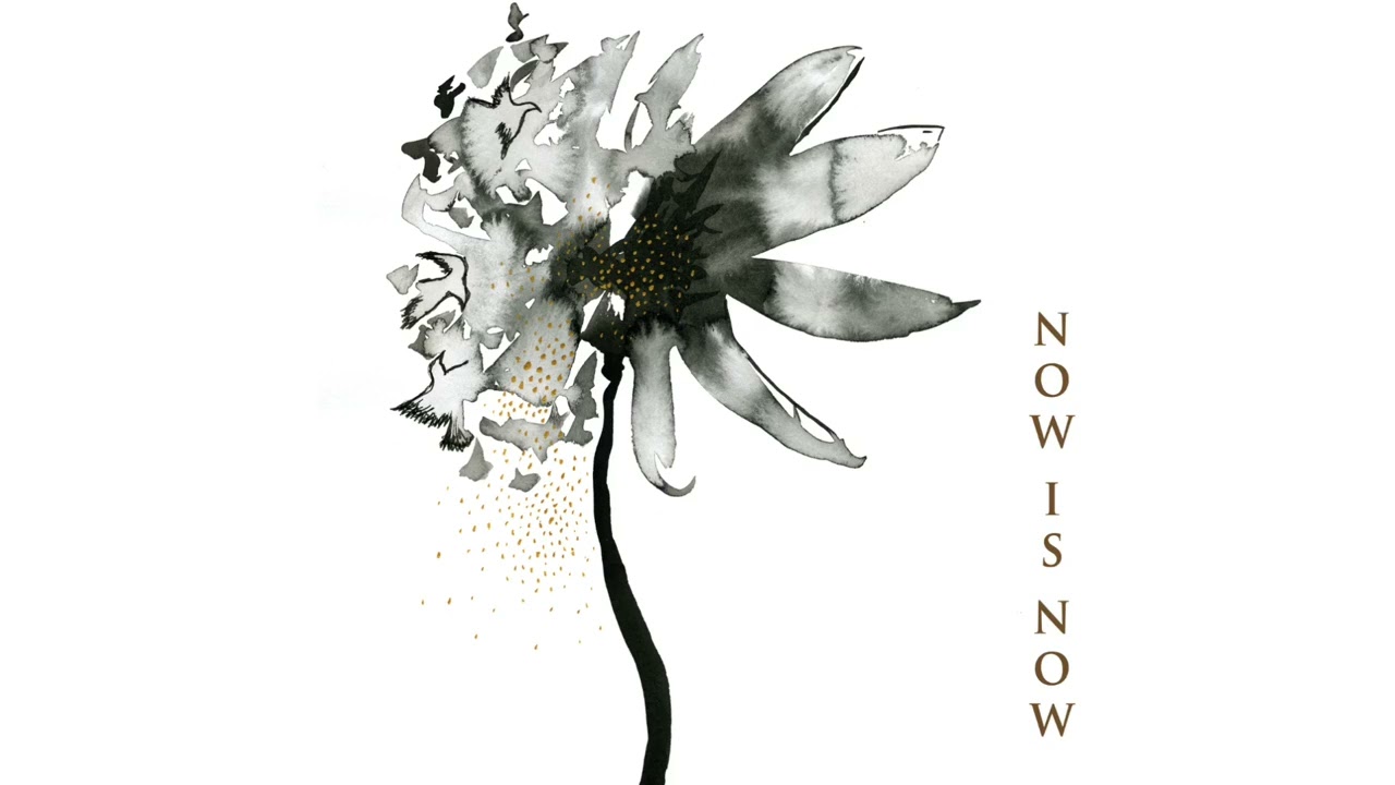 Samyama Soundscapes: Now Is Now (2025)
