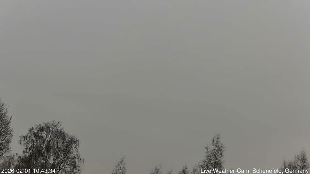 2026-02-01 Schenefeld Wetter