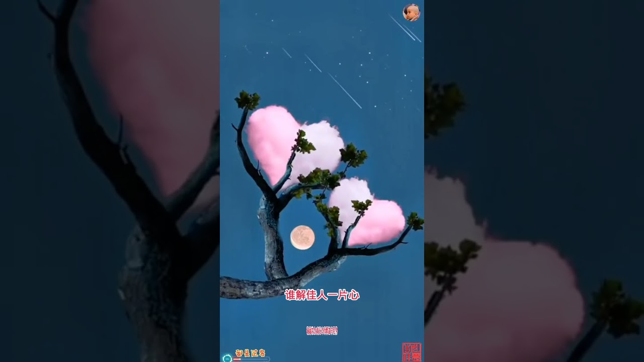 叹念断肠人丨范越vs盲童李玉顺丨天籁之音丨秋风吹动玉门关，书中人儿何时还，错把陈醋当笔墨，写尽一生都是酸🌺